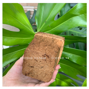 Maceta biodegradable de fibra de coco, código 3099, cuadrada, natural, para jardín, venta al por mayor, Eco2go Vietnam - Product Image 4