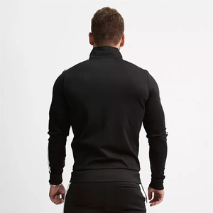 Survêtement gris pour homme, manches longues, col montant, fermeture éclair, poches latérales, coupe classique, style sportif automne, 100 % polyester - Product Image 2