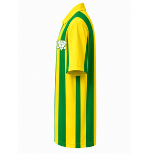 Maillot de football personnalisé Chi Eta Phi à manches courtes avec logo sur le devant, chemise en polyester rayée verte et jaune pour femme - Product Image 4