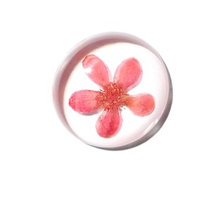 Viola Herb Flower - Espécimen de Planta Real en Cabujón de Plástico Redondo de 35x35 mm con Base Plana Transparente para Manualidades y Joyería - Product Image 1