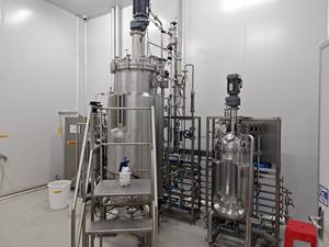 Biorreactores de Acero Inoxidable 304/316 de 150L-1500L, Recipientes a Presión con PLC de 5000L y 3000L para la Enfermedad de la Boca y las Patas en Cerdos - Product Image 3