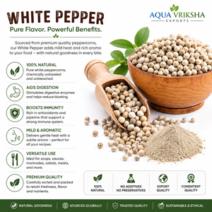 AQUA VRIKSHA Poivre Blanc Entier Premium |   100% Naturel |   Pureté à 99 % |   Fabriqué en Inde |   Fournisseur de Spices en Gros de Qualité Export - Product Image 6