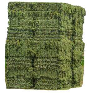 Aliments sains pour animaux, granulés d'alfalfa génériques/en marque privée, riches en fibres, alimentation pour chevaux, durée de conservation de 24 mois, approvisionnement en vrac, Royaume-Uni - Product Image 1