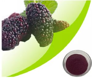 Snack de moras orgánicas deshidratadas congeladas al vacío, crujientes y ligeras, con sabor naturalmente dulce y ácido, frutos verdes auténticos para batidos, repostería y cereales. - Product Image 1