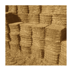 Paille de riz disponible à bas prix du Pakistan - Product Image 1