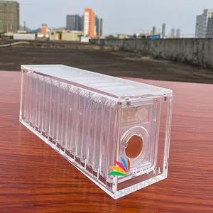 RAY YI कस्टम उच्च गुणवत्ता वाले पारदर्शी सुरक्षित ऐक्रेलिक भंडारण यूरो भंडारण सिक्कों के लिए चुंबकीय बॉक्स