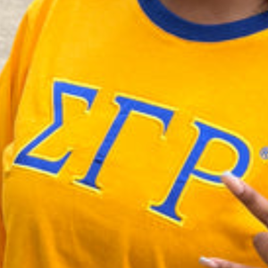 Camiseta Personalizada SGRHO de Manga Larga para Mujer, con el Logotipo de la Hermandad Griega Sigma Gamma Rho, Cuello Redondo, Informal, de Algodón, Venta al Por Mayor - Product Image 4