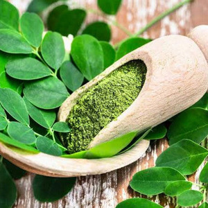 Poudre de feuilles de Moringa pour la vente en gros, produit à base de plantes, poudre verte naturelle pour ingrédient alimentaire et marchés de détail - Product Image 3