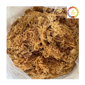 Mousse de mer séchée |   Qualité Océanique Fraîche |   Algues marines naturelles |   Vente en gros en vrac Vietnam - Product Image 1