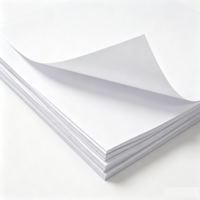 Papier copie multi-usage COPY a Brand, 80 g/m², 500 feuilles par rame, pâte de bois vierge, haute blancheur, papier pour photocopieuse de bureau
