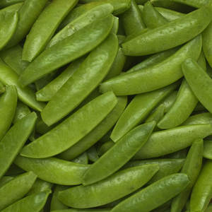 Petits pois verts séchés de qualité supérieure, pois de jardin biologiques, approvisionnement en vrac, export, haute valeur nutritive, goût naturel, emballage alimentaire de qualité supérieure, 25 kg - Product Image 1