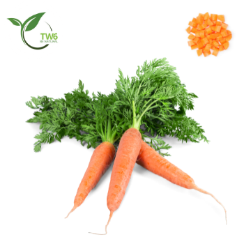 Свежая морковка высшего качества из Вьетнама TW6