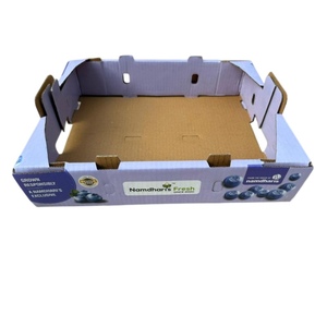 Caja de Cartón Corrugado para Arándanos, Diseño Artesanal, para un Almacenamiento y Transporte Eficientes, Precio para Exportación Mundial - Product Image 1