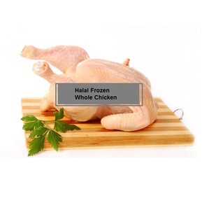 ไก่แช่แข็งฮาลาลเกรดพรีเมียมทั้งตัวและเนื้ออกไก่สดเกรดพรีเมียมสำหรับส่งออก - Product Image 3