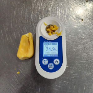 Factory Price IQF Frozen Jackfruit Seedless Pulps Brix 18-22% Deep Yellow Color No Additives 1kg/5kg Vacuum Bag Packing - Product Image 3