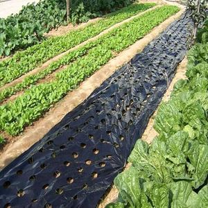 Custom Cut HDPE Olive Harvest Net Industrial <b>Plastic</b> Blow Molding 8G GSM 1mm X 1mm <b>Mesh</b> Black FORTUNE AGRO NET Gujarat - Product Image 5