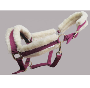 Caballo ecuestre inglés, web de nailon fino, cuello Halter, cuello de cabeza, acolchado de visón suave personalizado, Halter de caballo - Product Image 2