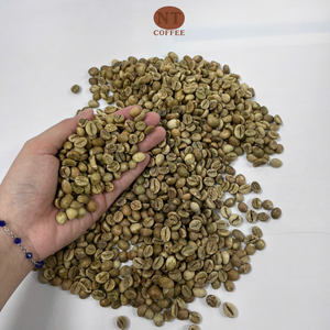 Grains de café Robusta bruts de qualité supérieure, procédé naturel, fournisseur en gros, emballage personnalisé, service OEM/ODM disponible - Product Image 1
