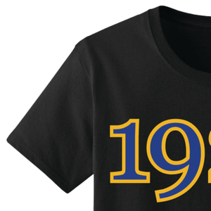 Camiseta Bordada con el Año de Fundación de Sigma Gamma Rho 1922, Camiseta Personalizada de la Hermandad Griega, Algodón, Estilo Casual Universitario, Venta al Por Mayor OEM - Product Image 4