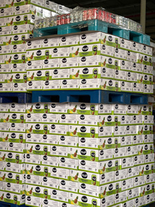 Bebida de jugo de gelatina de hierba marca Tropi, lata de aluminio de 330 ml, paquete de 24, precio competitivo - Product Image 4