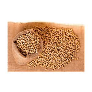 Prix compétitif du VIETNAM : NOUVEAU PRODUIT - Fèves de soja vertes fraîches / Grains de soja non-OGM, riche en protéines et en valeur nutritionnelle, farine de soja - Product Image 6