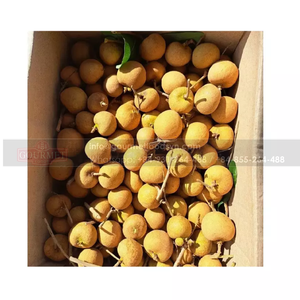 ลำไยสดและแช่แข็งเพื่อการส่งออกจากเวียดนาม - Product Image 3