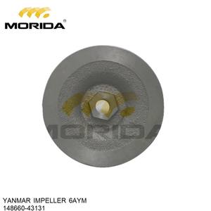 Conjunto de bomba 6AYM 748660-42013/748660-42014, agua de mar para YANMAR - Product Image 4