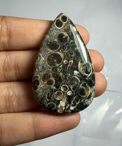 Cabujón de ágata Turritella en forma de corazón, mineral pulido para la fabricación de joyas - Product Image 2