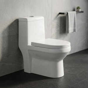 WC monobloc allongé à siphon avec abattant et accessoires, ensemble de sanitaires en céramique - Product Image 4