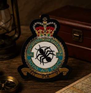 RAF-9006 Custom Embroidered Patch with Crown Eagle Design Lace Sew-On Fabric Badge Safety Pin for Garment Circular Style - Product Image 2