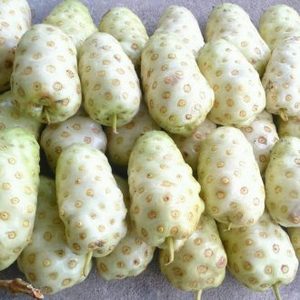 Fruits de Noni séchés de qualité supérieure – Noni naturel, propre, séché au soleil et sans produits chimiques // Mr.Tom - Product Image 2