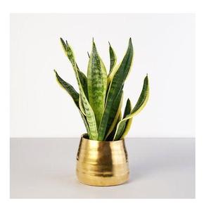 Maceta de Metal de Acero Inoxidable / Florero / Macetas para Plantas de Interior y Exterior - Product Image 3