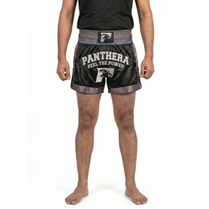 Men's Custom Muay Thai Recycled Micro Satin Competition Fight Shorts-OEM Private <b>Label</b> - Product Image 1