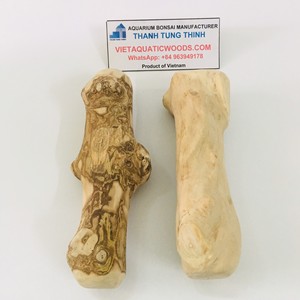 Más Vendido: Masticable para Perros de Madera de Café FSC, Ecológico, Limpieza Dental, Sabor Original, Empaquetado en Cartón, Golosina para Mascotas para Mayoristas en Vietnam - Product Image 2