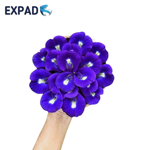Expad Vietnam Handmade <b>Dried</b> Butterfly Pea Flowers 100% Natural Blue <b>Petals</b> Loose Tea Vacuum Pack Herbal Health Beverage Tea - Product Image 3