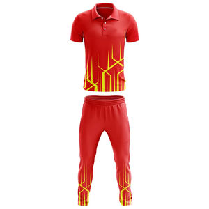 Uniforme Deportivo de Cricket Personalizado de Poliéster, Diseño de Moda, Impresión de Logotipo Personalizado, Ropa Deportiva para Equipos 2025, Nueva Llegada - Product Image 1