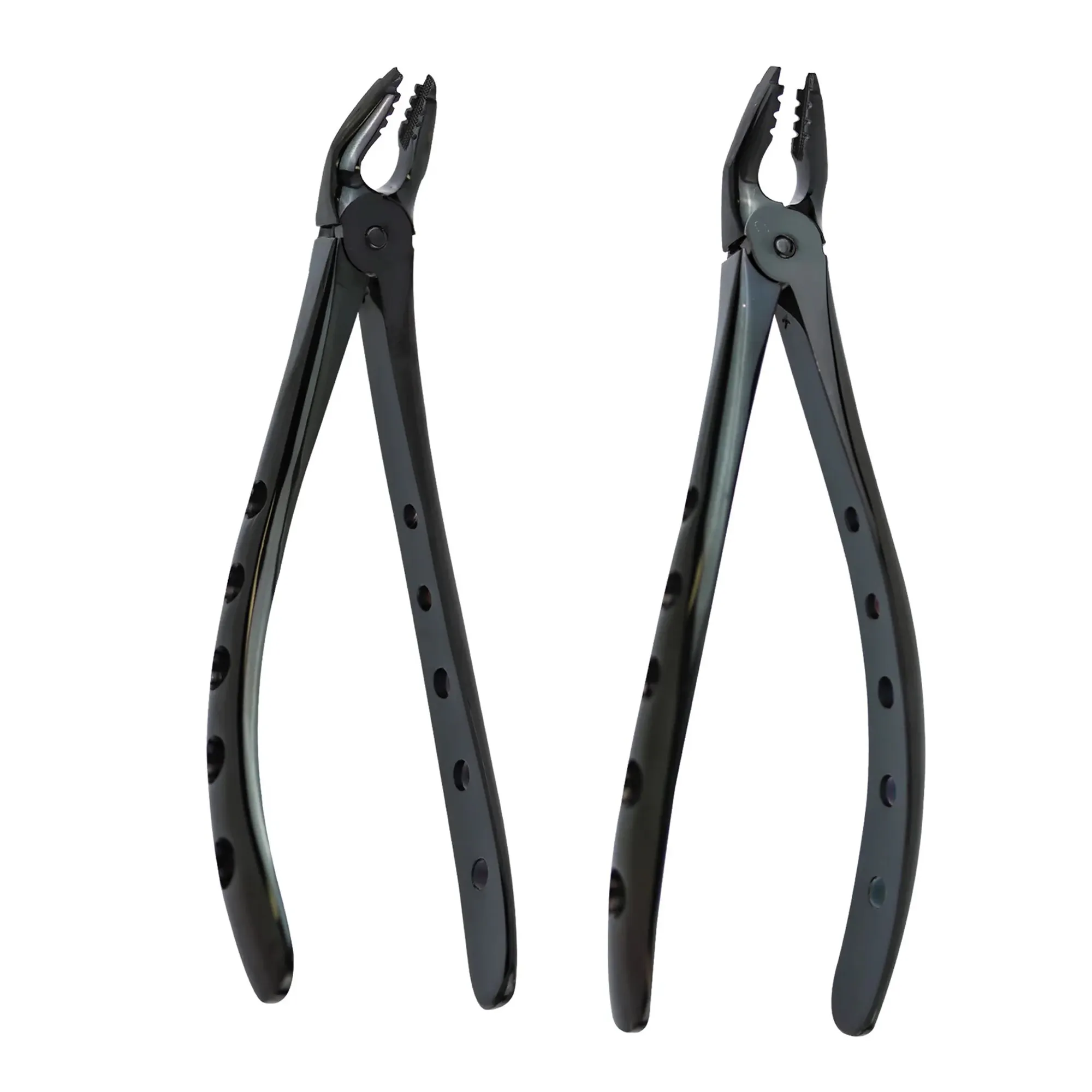 2 Black Color Hot Dental Tooth Root Extraction Forceps Best Luxurious Dental Tooth Left Right Side Forceps