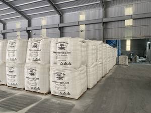 Caliza en Polvo de Alta Pureza (94%), Color Blanco Lechoso, Fabricante Vietnamita, Marca SHC, Modelo TMC, en Bolsas Jumbo Grandes para Exportación - Product Image 2