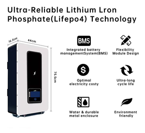 Wall <b>Mounted</b> Lifepo4 <b>Battery</b> 51.2v Lithium <b>Battery</b> Pack 100ah 150ah 300ah 600ah 200ah Home Energy Storage <b>Battery</b> - Product Image 2
