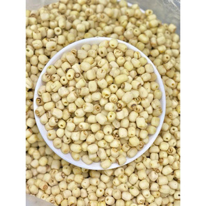 เมล็ดบัวแห้งแบบธรรมชาติ บรรจุถุง 1 กิโลกรัม วัตถุดิบสำหรับทำขนมและของหวาน นำเข้าจากเวียดนาม โดย 99 โกลด์ ดาต้า - Product Image 1