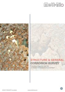 Corrosion <b>Mapping</b> Service - Product Image 2