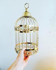 Cage à oiseaux en fer durable avec revêtement en poudre, plateau inférieur amovible et système de nettoyage facile pour oiseaux de compagnie - Product Image 2