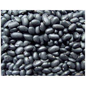 Frijoles Negros Orgánicos de Primera Calidad, Secos, en Empaque a Granel, 25 kg por Caja - Product Image 6