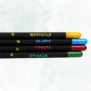 Eco Friendly Plantable Pencils with 4-in-1 <b>Seed</b> Capsules Wood-free Recycled <b>Paper</b> Rainbow Multicolor Colored Pencil Set for Kids - Product Image 4