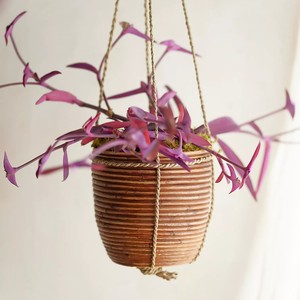 Maceta de ratán tejida de alta calidad, macetas y jardineras al precio más bajo, accesorios de jardín - Product Image 1