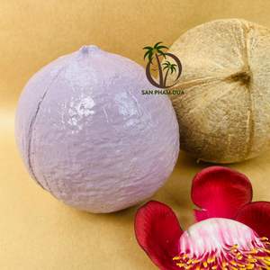 Fabricante de cáscara de coco vacía hueca/bola pintada de coco hueco Mardi Gras Zulu hueco para pintura de Festival cáscara de coco - Product Image 2