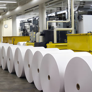 KR Kupbo Pulpe de bagasse vierge durable, biodégradable, de qualité alimentaire, écologique, haute résistance, certifiée ISO, pour la fabrication de gobelets en papier - Product Image 6