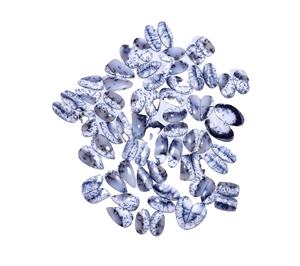 Dendrite โอปอลควอทซ์อาเกต Cabochon คู่พลอย Cabochon คุณภาพสูงสำหรับเครื่องประดับอัญมณีในราคาโรงงานสำหรับต่างหู - Product Image 3