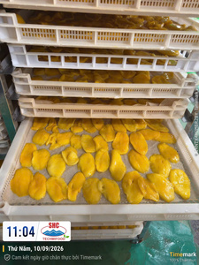 Tranches de mangue séchées AD de qualité supérieure Techmifood Vietnam, douces, fruit tropicaux, en vrac - Product Image 3