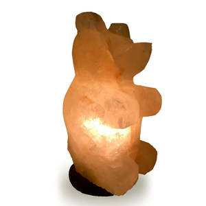 Lampe en sel de l'Himalaya en forme d'animal avec ampoule, design sculpté à la main, base en bois écologique - Product Image 4